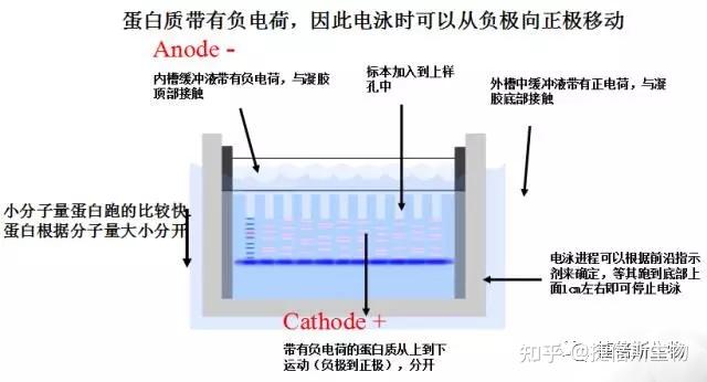 内容矩阵规划：提升品牌内容营销效果的终极武器