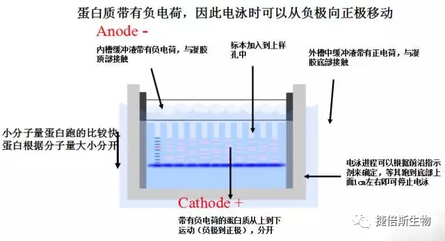 品牌情感银行：企业与消费者情感共振的力量